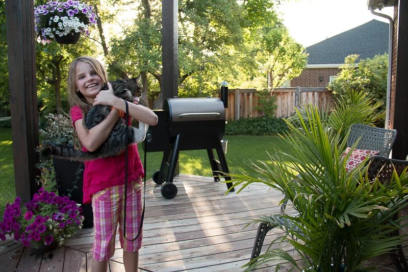 Modern Deck Pergola @Bekob 31