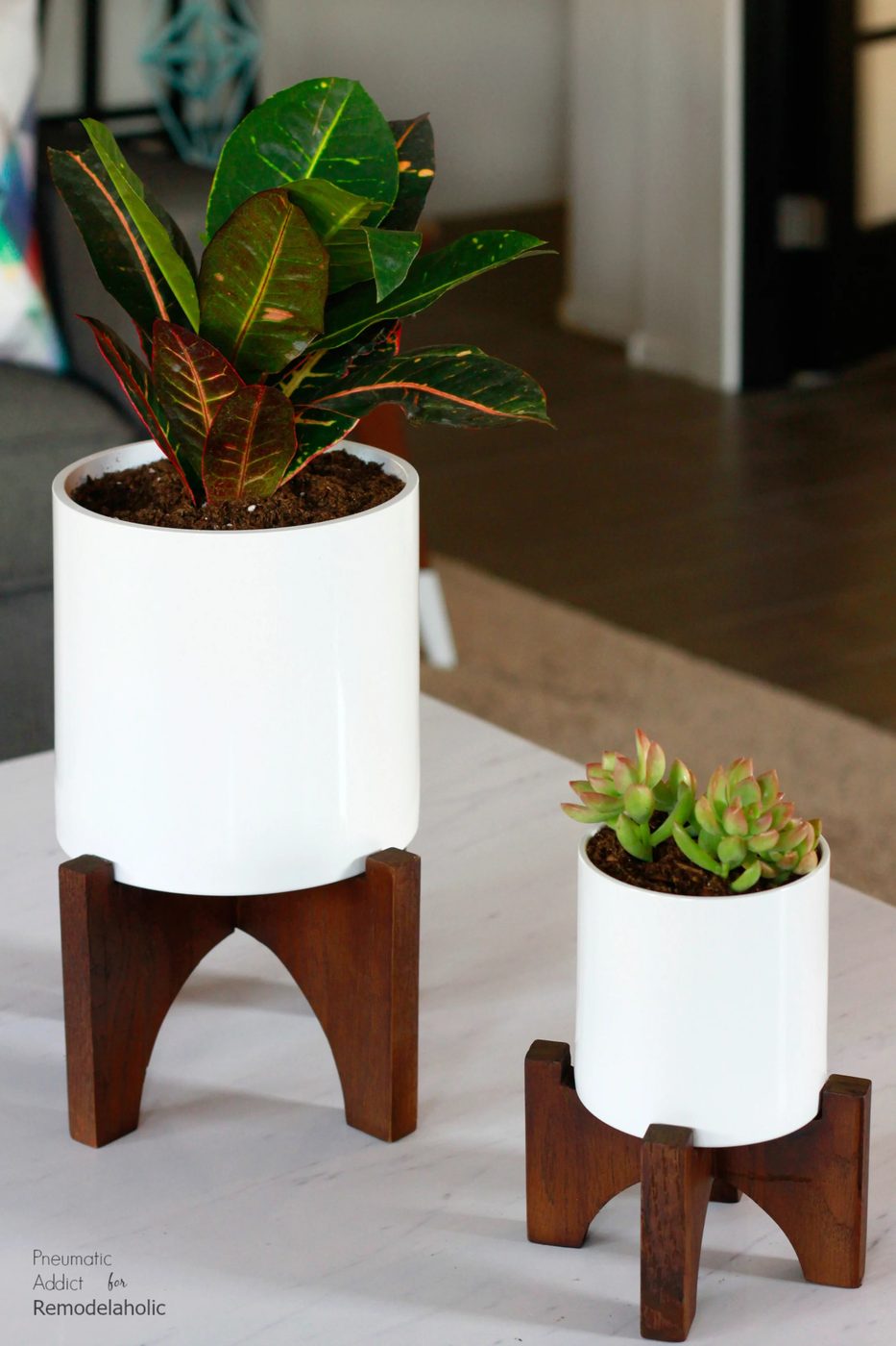 How To Make Modern White Tabletop Planters | Elevate your house plants with these modern wood tabletop planters that you can make in a few hours! Get the full walkthrough and build