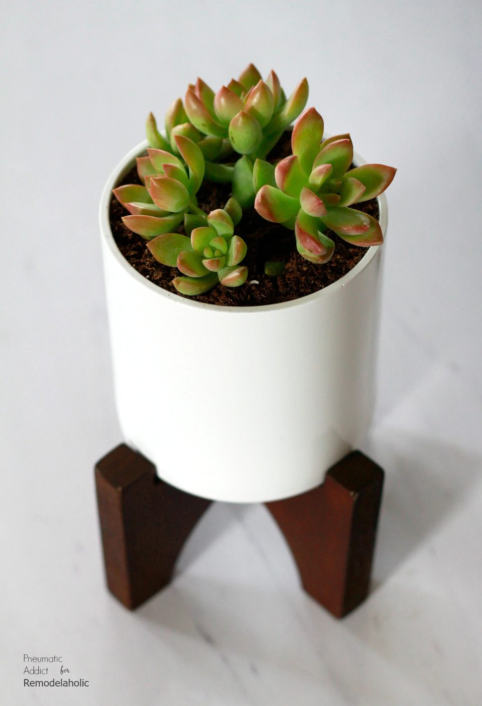 How To Build West Elm Wood Flower Pot Knockoff | Elevate your house plants with these modern wood tabletop planters that you can make in a few hours! Get the full walkthrough and b