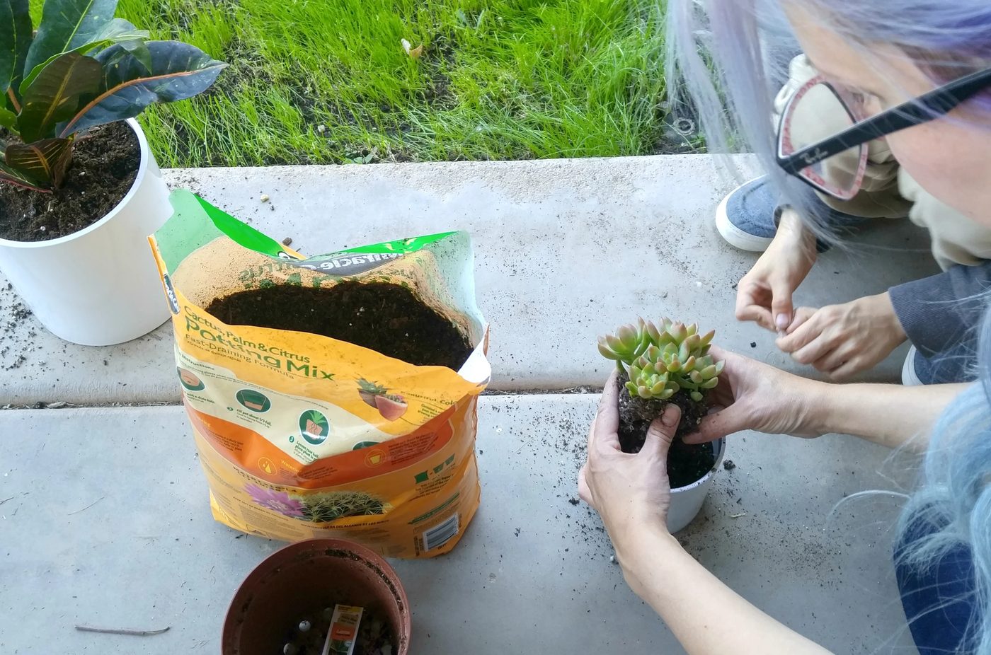 Planting Modern West Elm Planter Knockoff