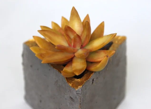 geometric concrete planter with succulent, A Piece of Rainbow on Bekob