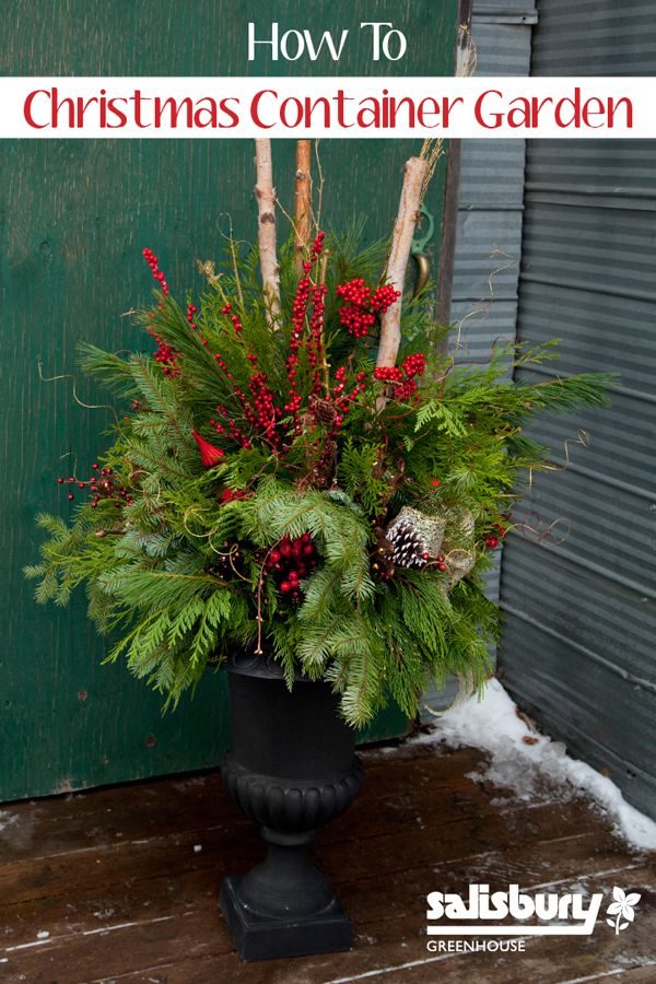 winter planter how-to - Salisbury Garden Center via @Bekob