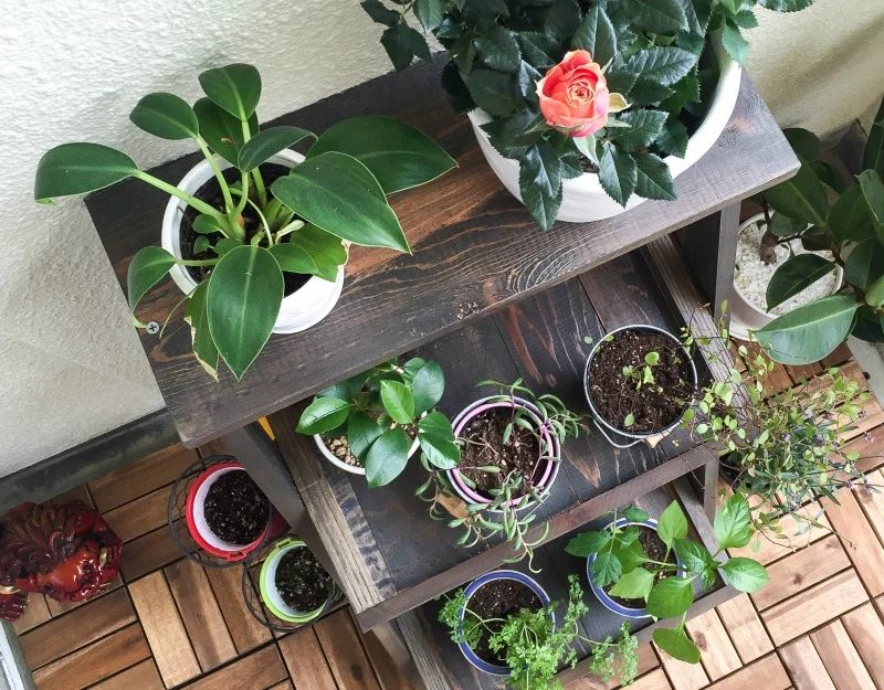 walkthrough: How to Build a Ladder Plant Stand