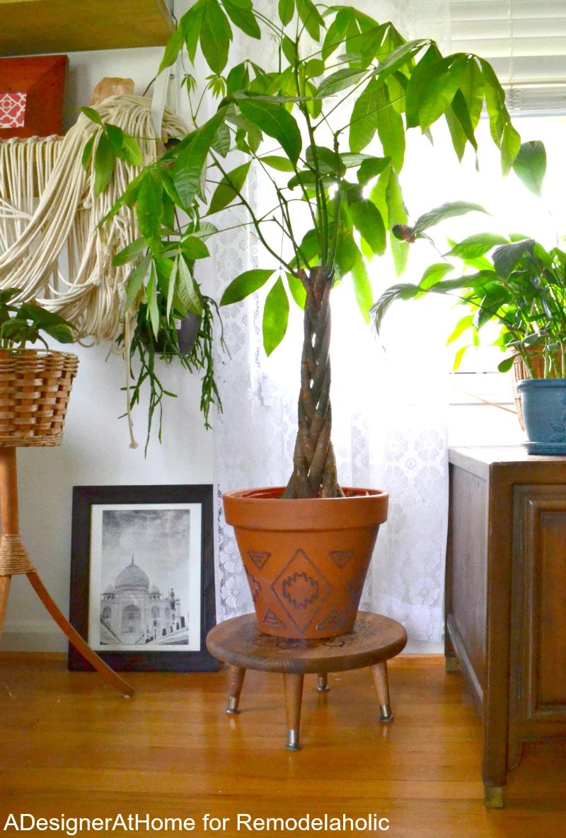 money-tree-plant-raised-planter-stand-stool-handmade-walkthrough
