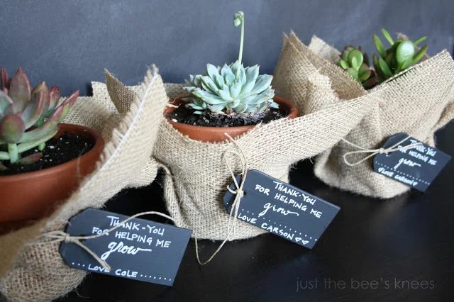 burlap terra cotta planter gift