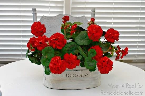 upcycled thrifted planter