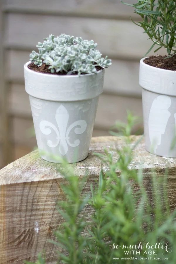 french glazed plant pots