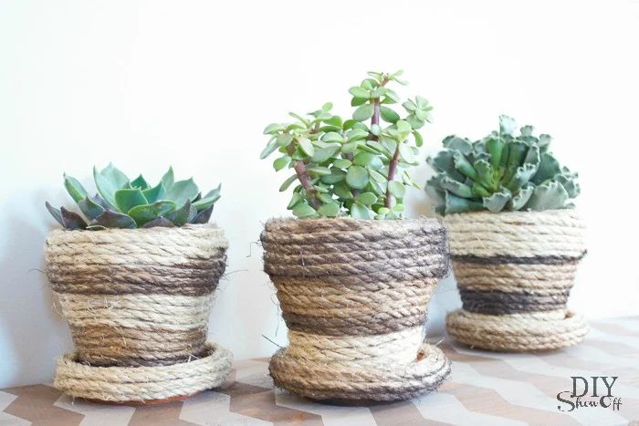sisal rope succulent pots