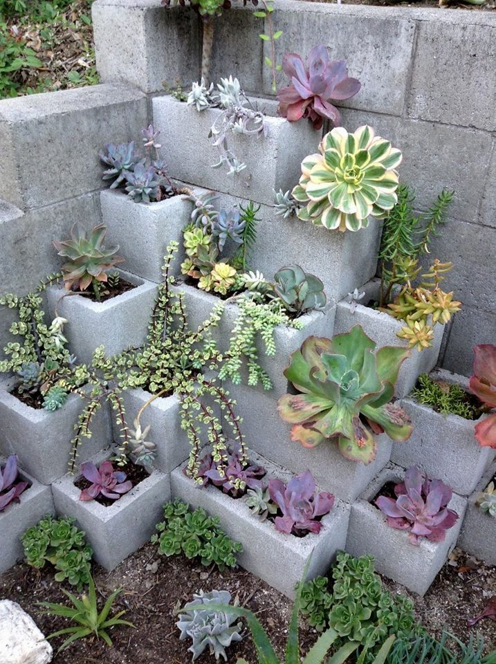 V Cinder Block Succulent Planter