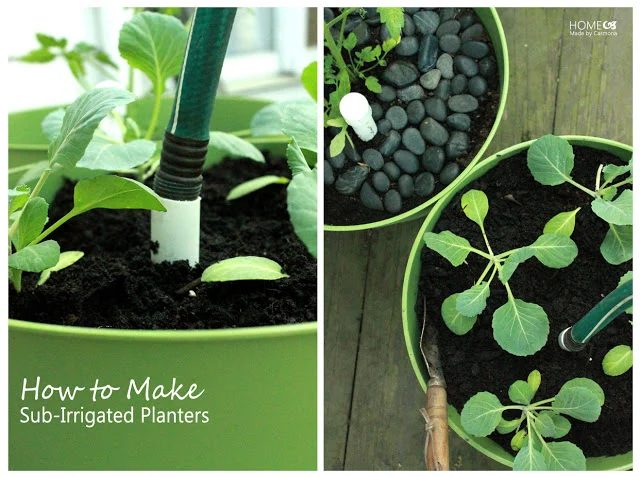 Sub-Irrigated Planters walkthrough