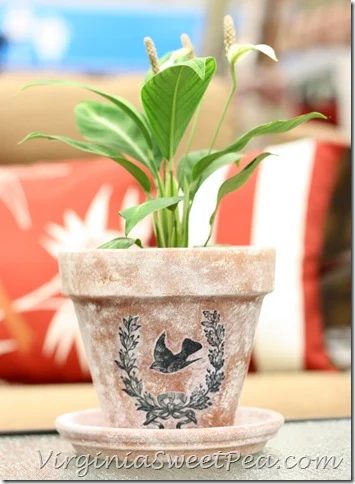 handmade aged pots with image