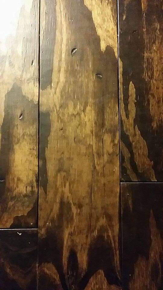 Plywood Plank Flooring, Erika Boen 1 16 16, 8 Inch Planked Farmhouse Floor, Featured On @Bekob