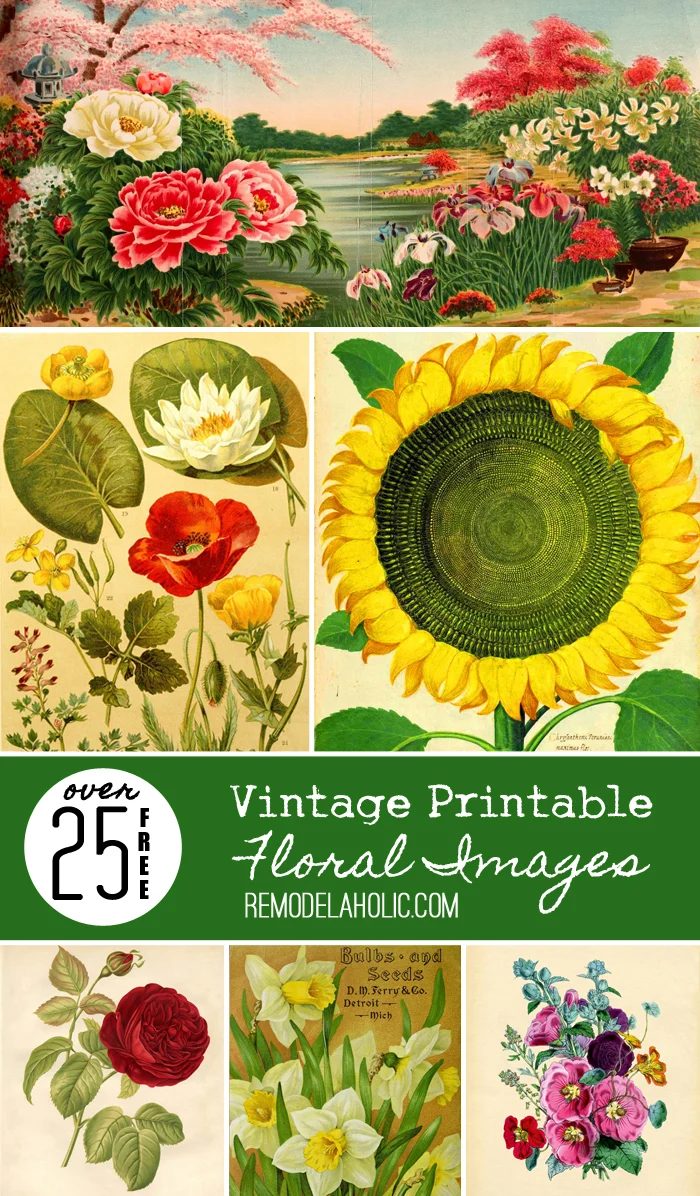25+ Free Vintage Printable Floral Images | Bekob.com