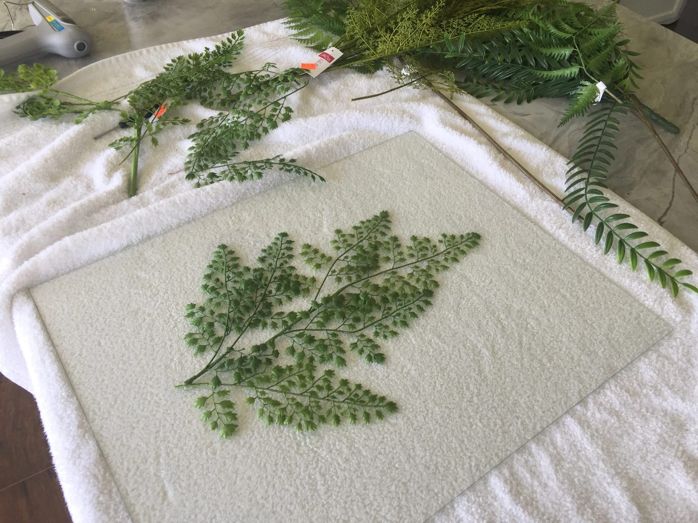 Pressed Plant Glass Frames by SAwdust2Stitches for Bekob.com