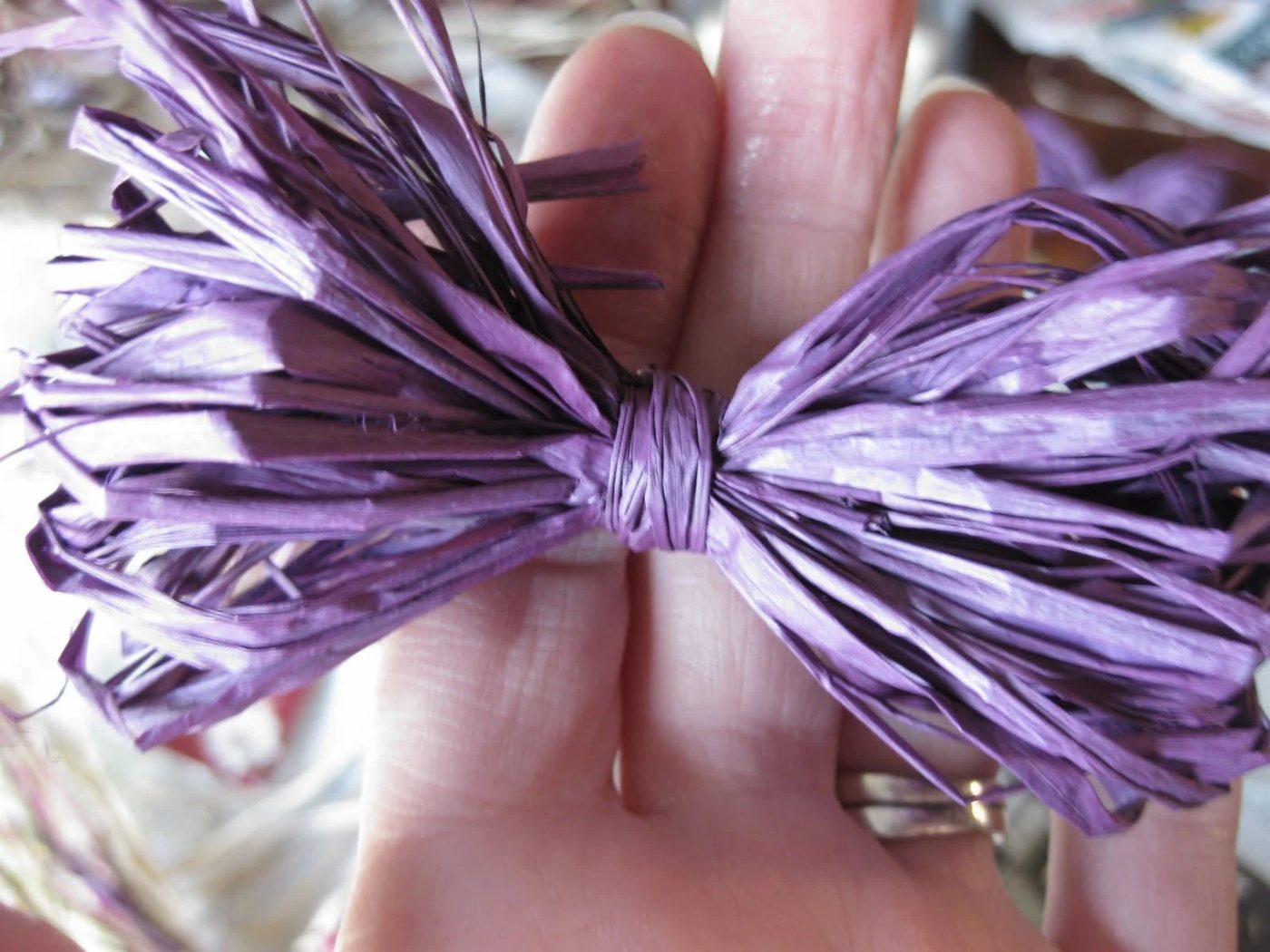 The Rafia Bow 7
