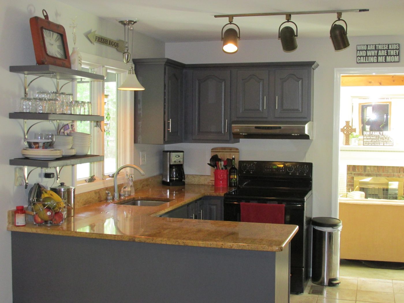 LeeAnn painted kitchen cabinets process review