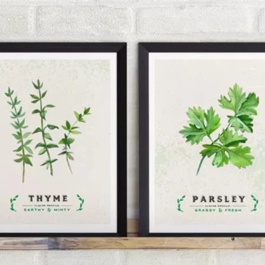 Kitchen Printables Culinary Herb Series Showing Thyme And Parsley In Black Frames