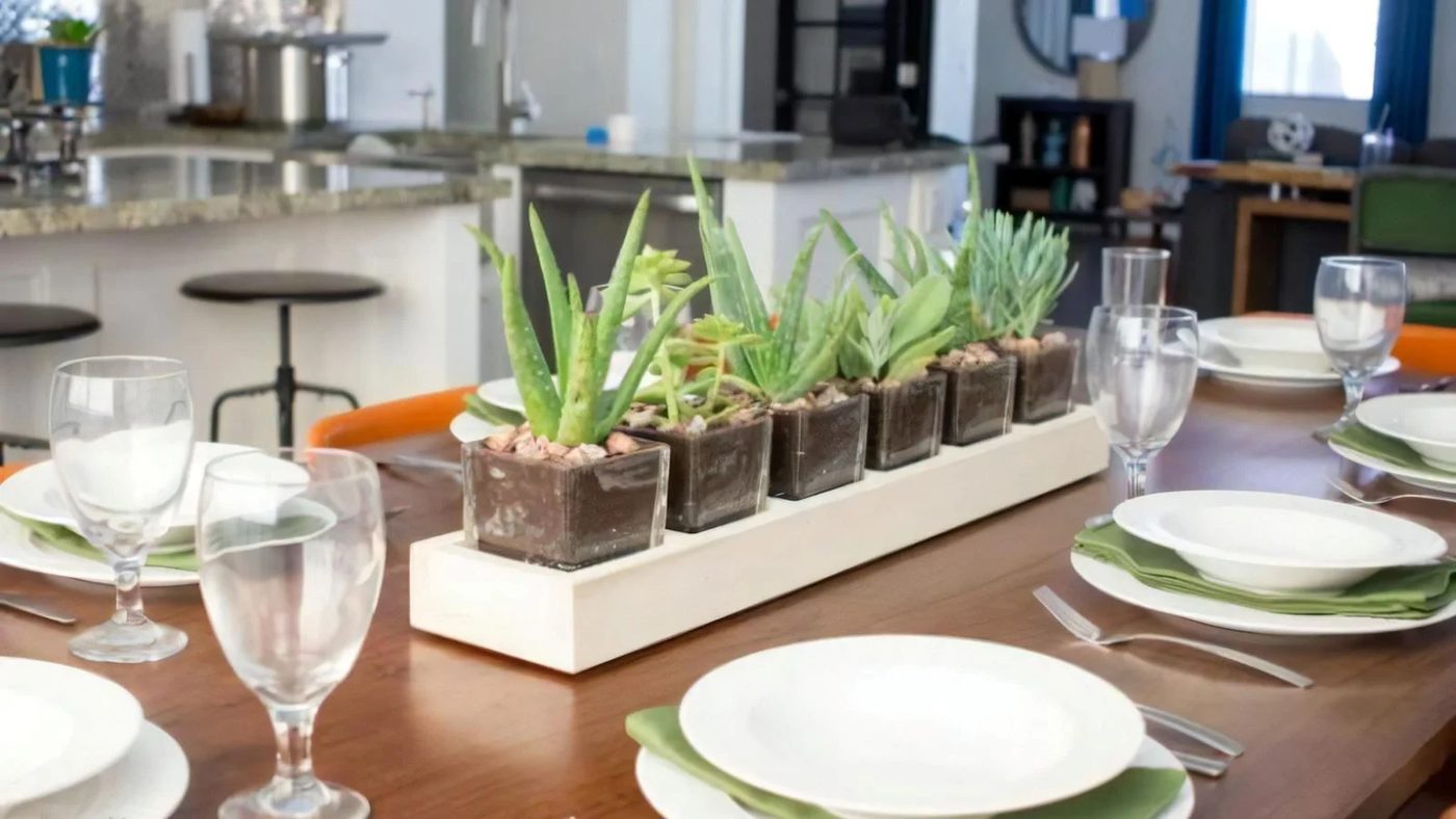 How To Make direct Long Succulent Planter 700 014326