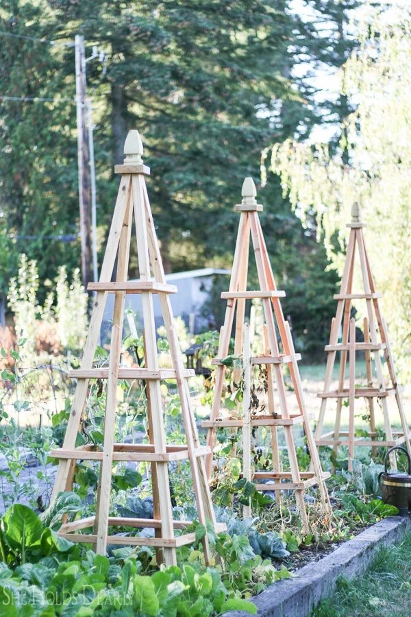 Handmade Vegetable Garden options French Tuteurs Garden Trellis, She Holds Dearly