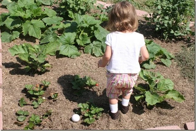 Handmade Vegetable Garden options With Kids, Bekob