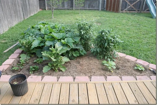 Handmade Vegetable Garden options Triangle Garden Bed For Square Foot Gardening, Bekob