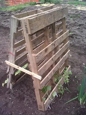 Handmade Vegetable Garden options straightforward Pallet Trellis For Vertical Gardening, Featured On Bekob