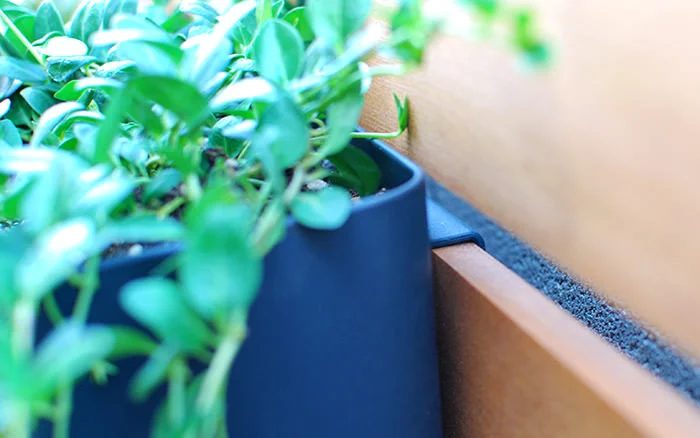 IKEA Kitchen Organizing Bins Turned Outdoor Planters On A Wood Slat Vertical Garden Wall, The Garden Glove Featured On Bekob