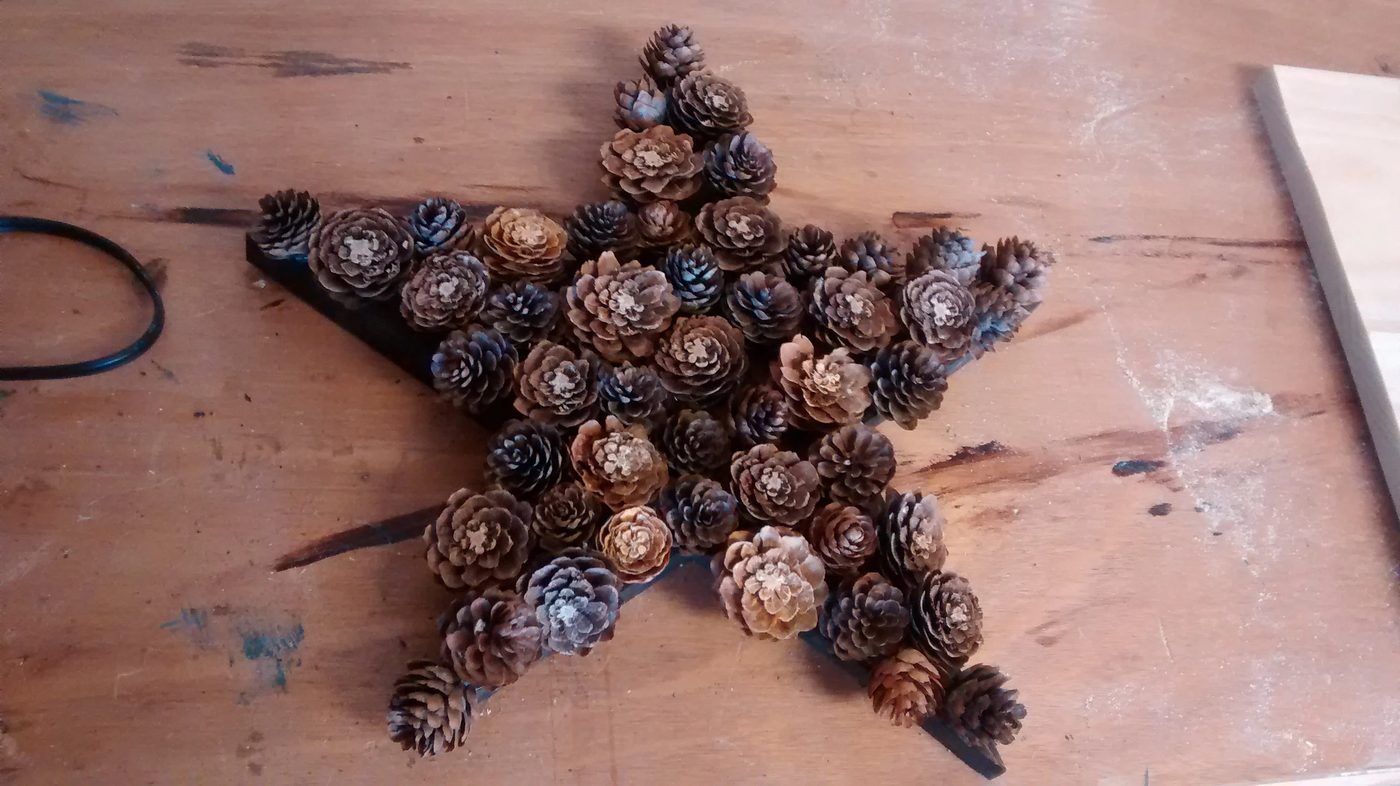 Bekob One Star 3 Ways Pine Cone And Berry Star (5)