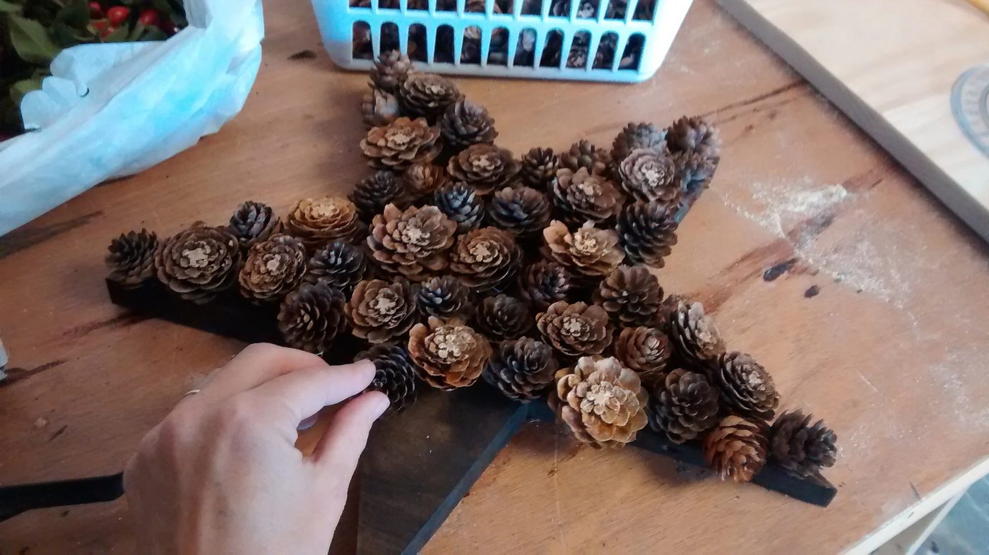 Bekob One Star 3 Ways Pine Cone And Berry Star (3)