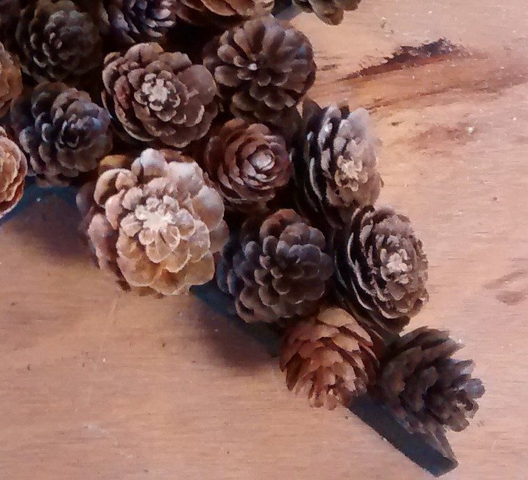 Bekob One Star 3 Ways Pine Cone And Berry Star (5)a