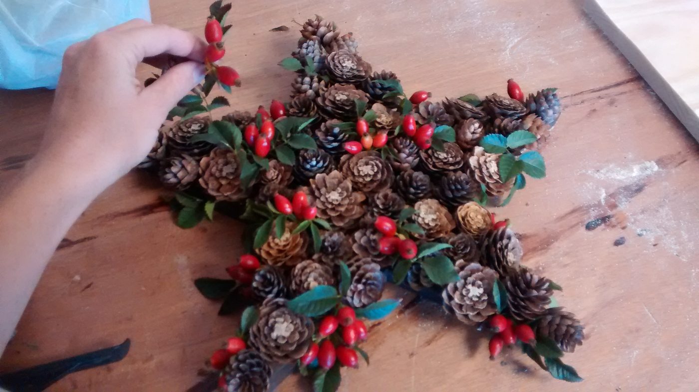 Bekob One Star 3 Ways Pine Cone And Berry Star (6)