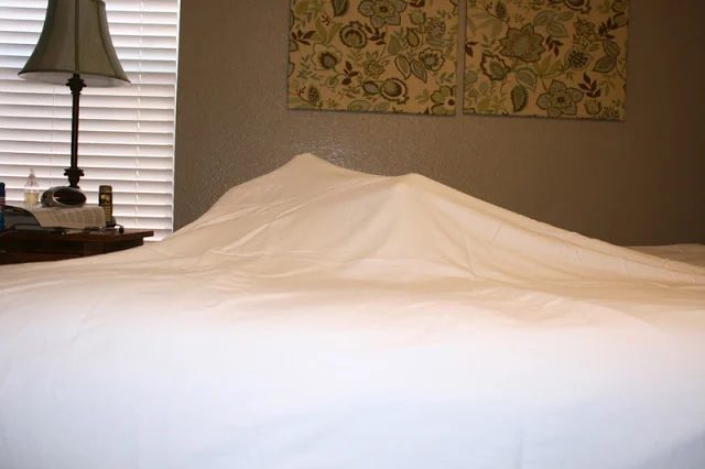 Don’t let the Bed Buds Bite