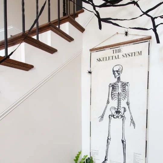 Wall Hanging Of A Human Skeleton System Against White Walls With White And Wood Stairs In The Background