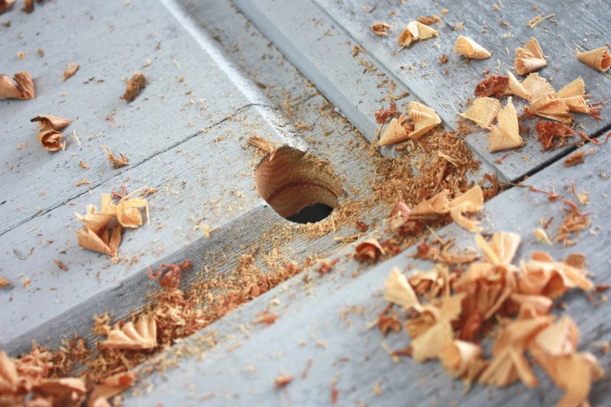 How to remove panels in a door to put in glass by Its the Little Things featured on @Bekob