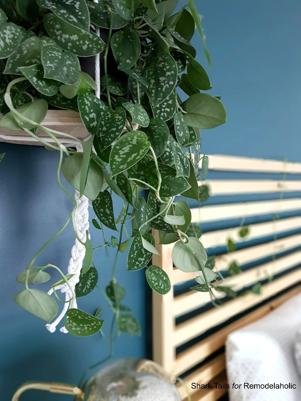 This low-cost and straightforward hanging planter will take you less than an hour, so you can give your plans a lofty new home in no time at all! Full Handmade walkthrough and supp