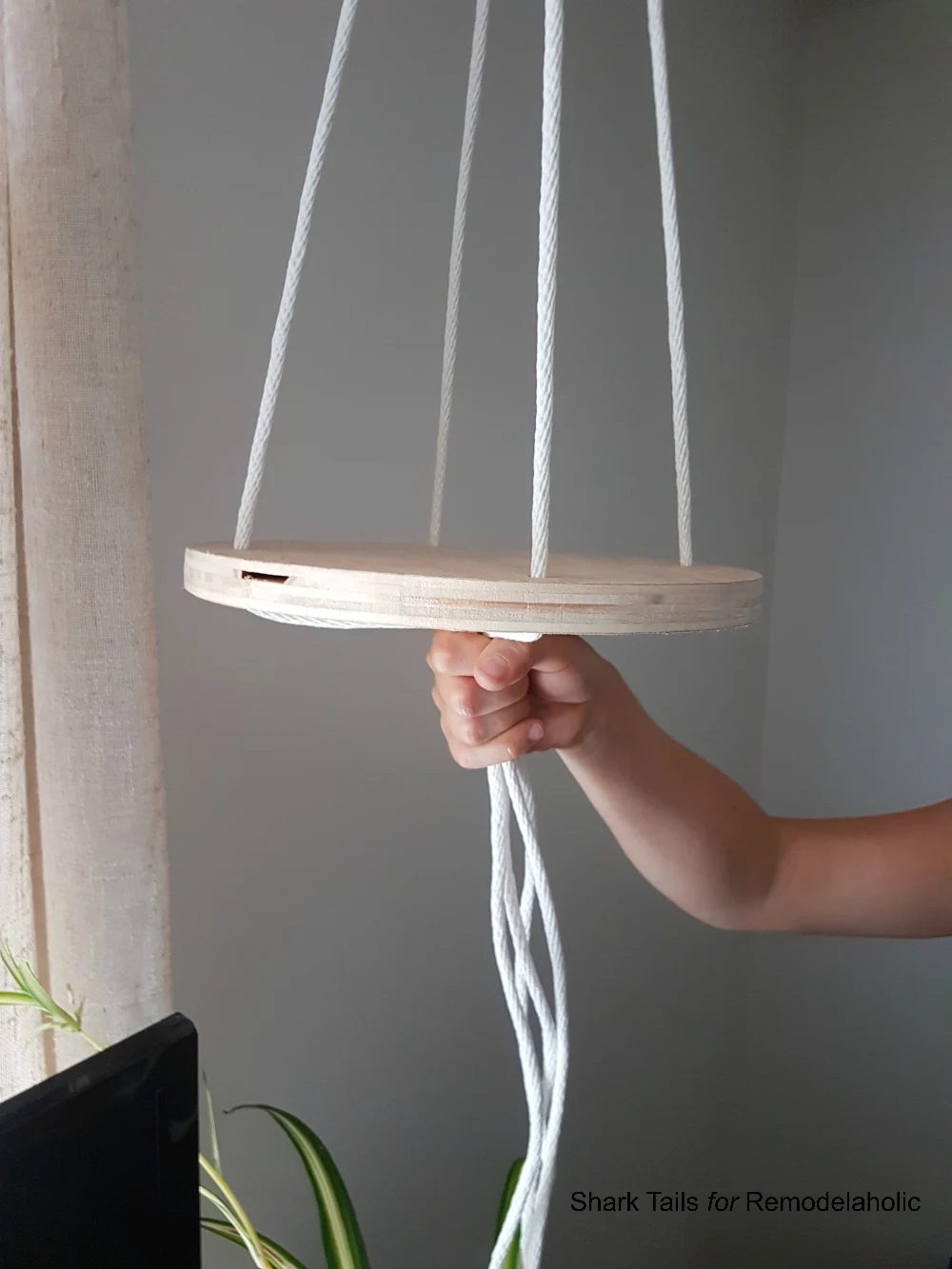 HangingPlanter SharkTails.9
