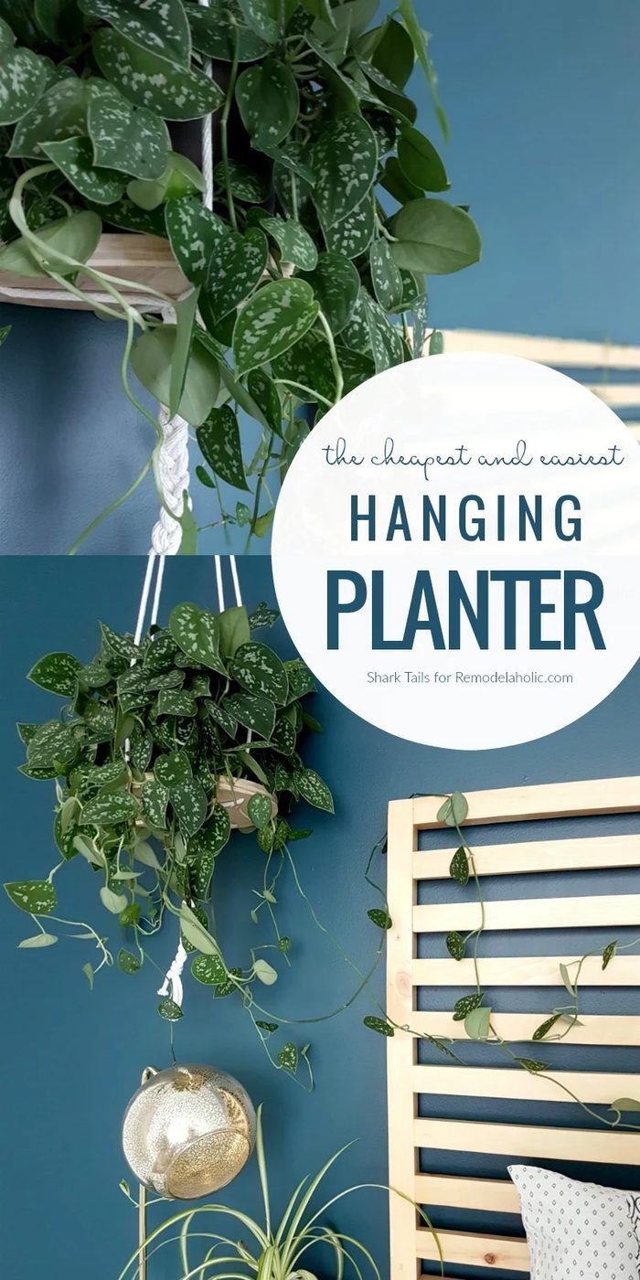This low-cost and straightforward hanging planter will take you less than an hour, so you can give your plans a lofty new home in no time at all! Full Handmade walkthrough and supp