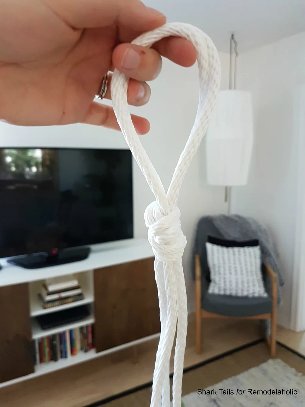 HangingPlanter SharkTails.8