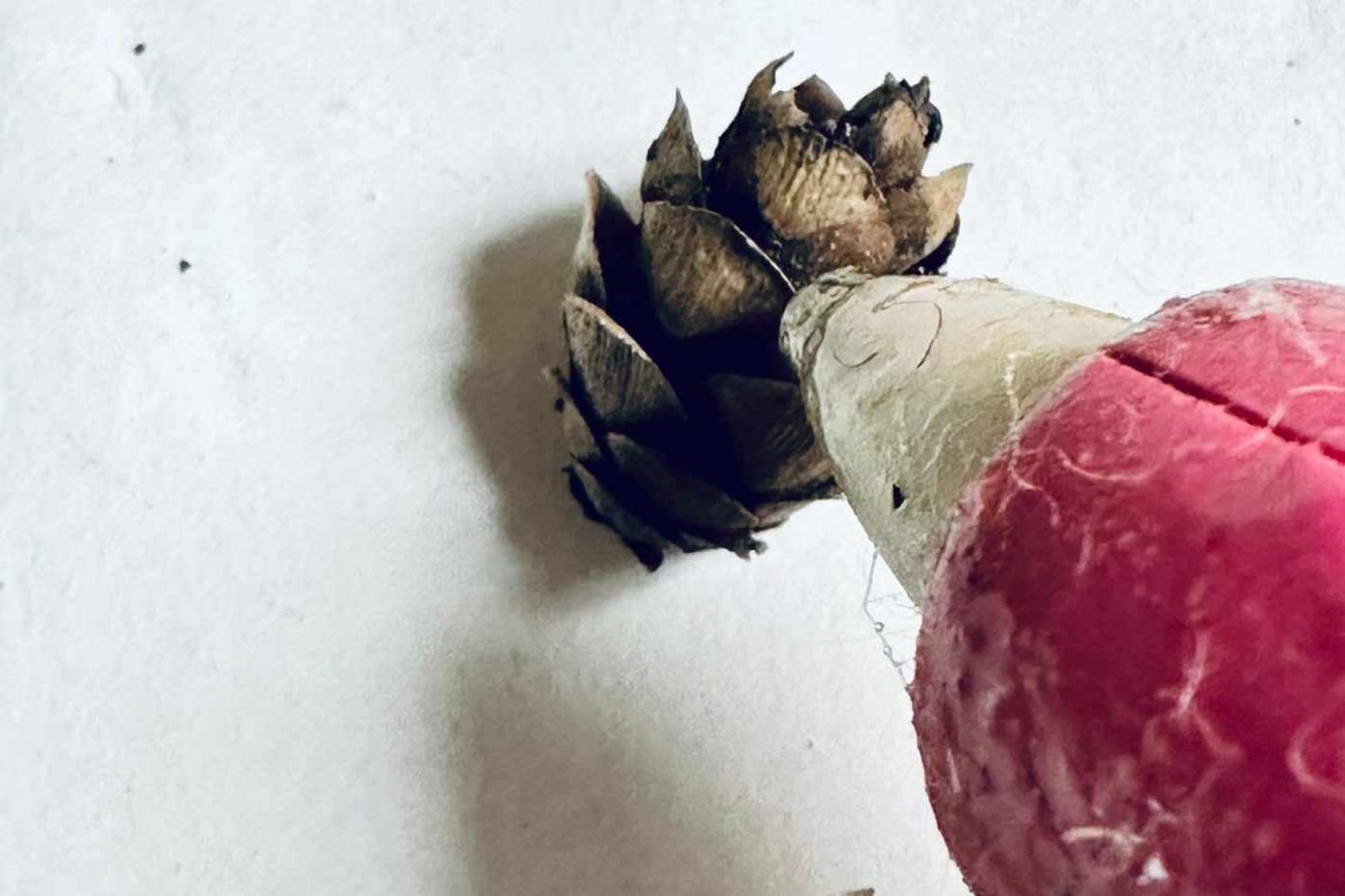 How To Flock A Handmade Cardinal Winter Wreath walkthrough For Christmas, Add Small Pinecones, Bekob