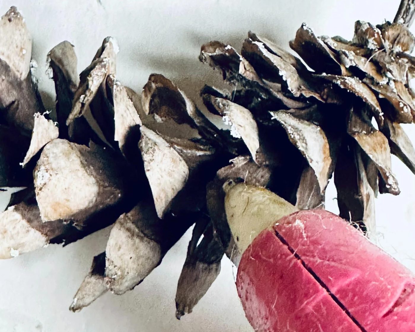 How To Flock A Handmade Cardinal Winter Wreath walkthrough, Glue On Pinecones, Bekob