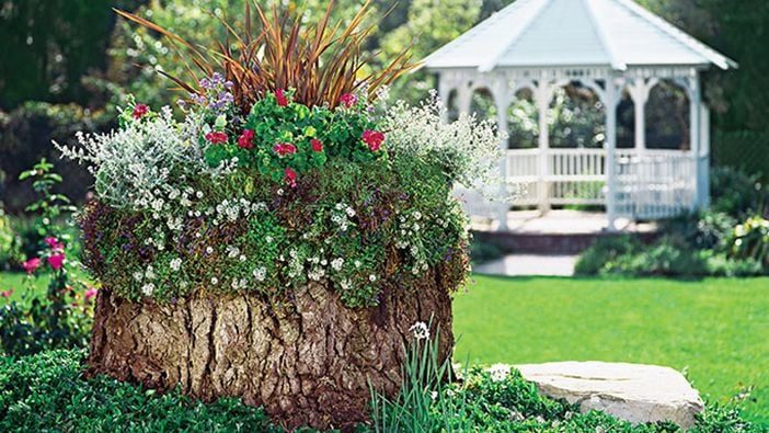 straightforward Creative Flower Bed and Outdoor Planter options