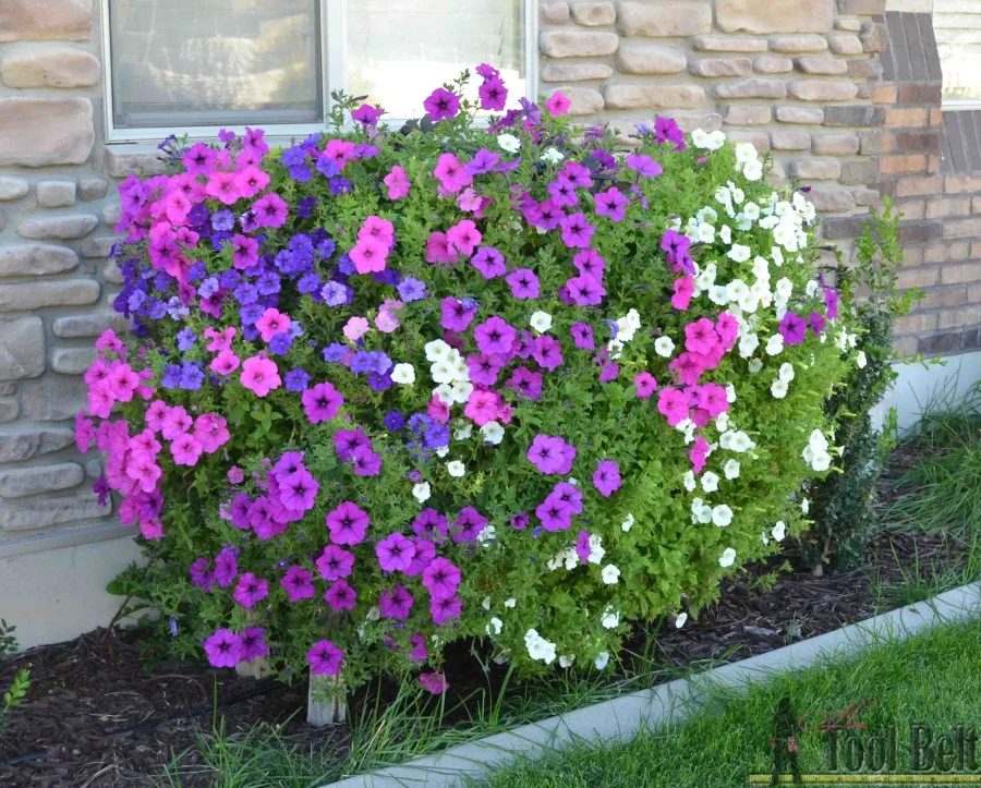 Outdoor Planter option, Cascading Flower Planter Box HerToolbelt