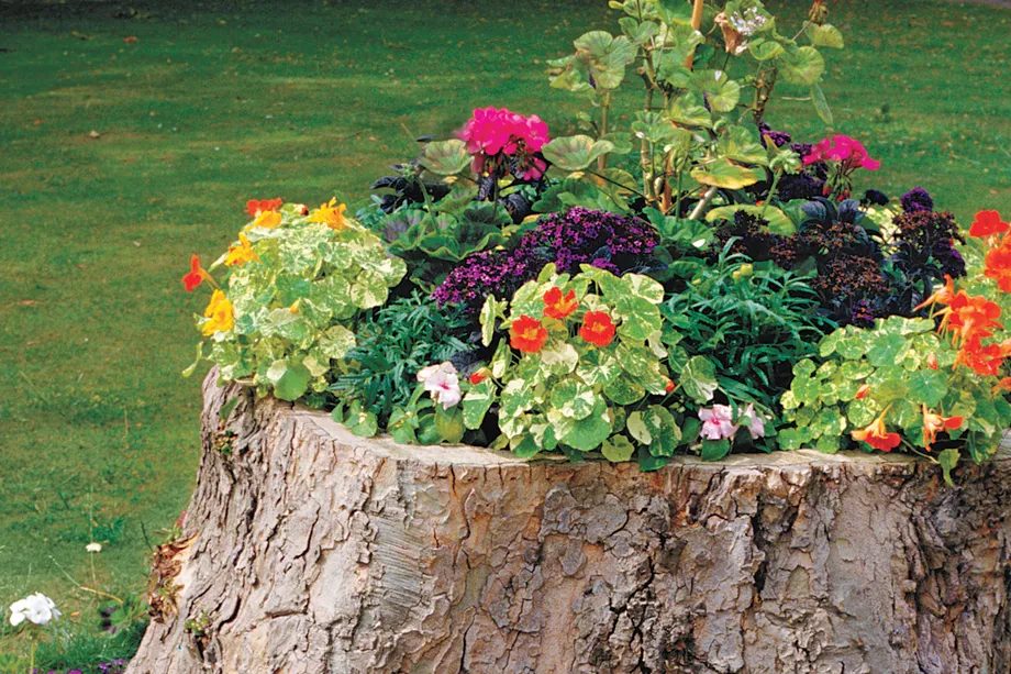 Creative Flower Bed Planter option, Tree Stump Flower Planter, This Old House