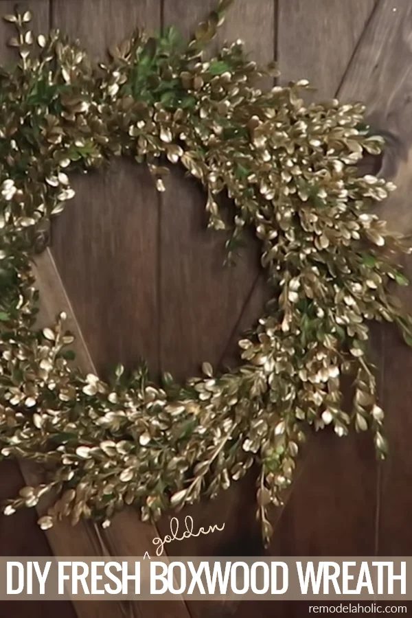 Handmade Fresh Boxwood Wreath With Gold Accents | Learn how to trim boxwood bushes and turn them into an straightforward fresh greenery wreath, with a bit of gold for bling. Using