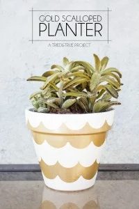 Handmade Gold Scalloped plant pot by Tried and True via @Bekob
