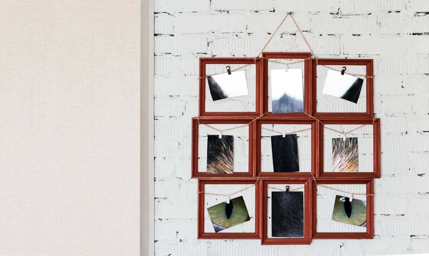 Wall Photography