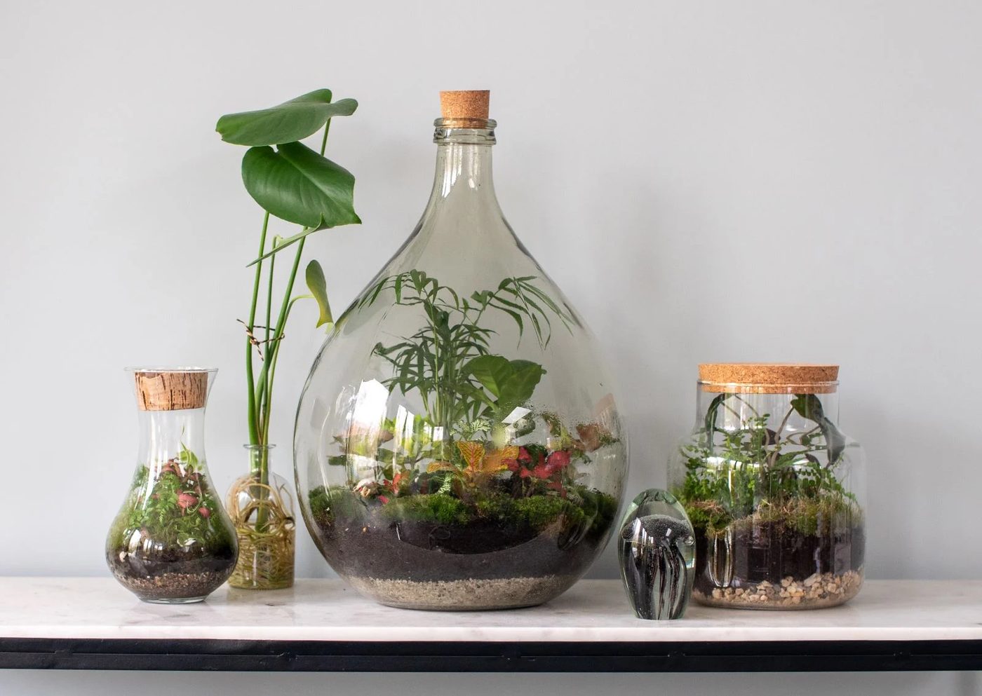 Terrarium