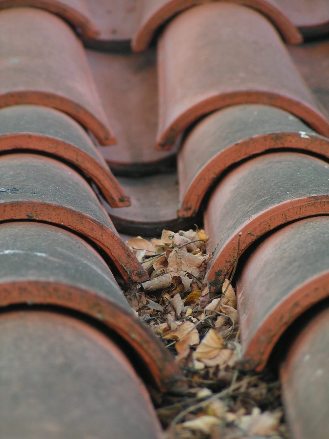 Fall Cleaning Projects: Gutters