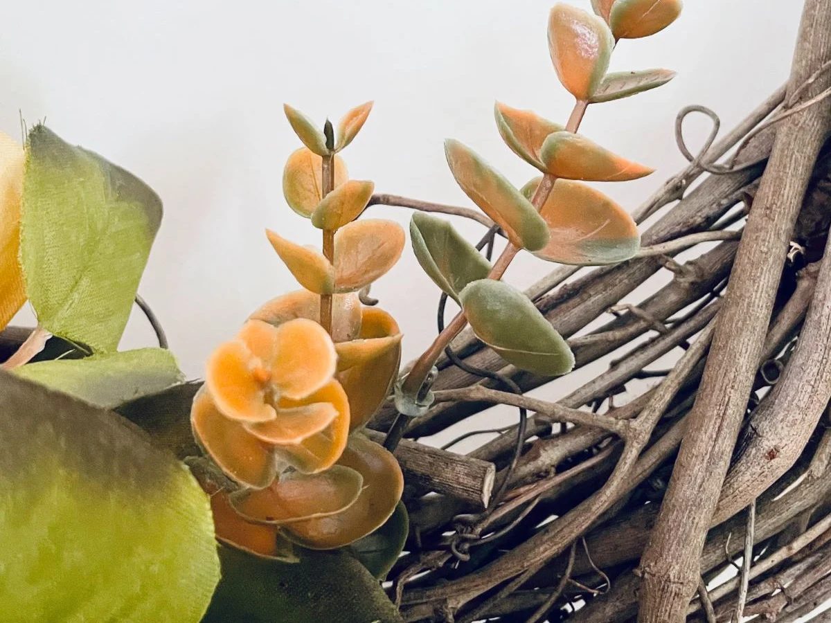 Eucalyptush On Farmhouse Dollar Tree Fall Wreath Grapevine, Bekob