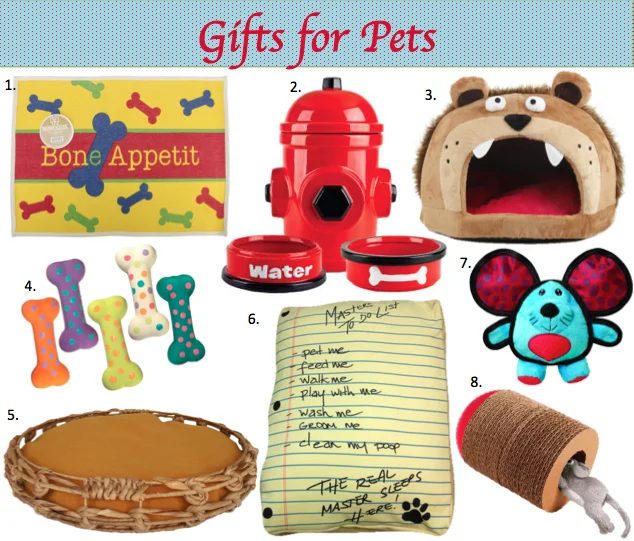 Pet gift options